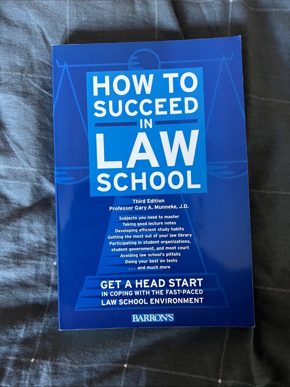 How to Succeed in Law School 3rd Edition Gary A Munneke Paperback